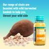 UNROOTED Mighty Ginger Shots Multipack - Immune System and Natural Energy Booster - 12 x 60ml Bottles - Ginger, Turmeric, Chilli & Baobab view 3