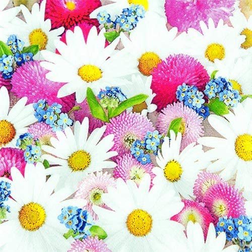 20 Napkins "Beauty of Spring" | Daisies | Flowers | Table Decoration 33 x 33 cm