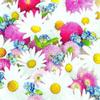 20 Napkins "Beauty of Spring" | Daisies | Flowers | Table Decoration 33 x 33 cm view 1