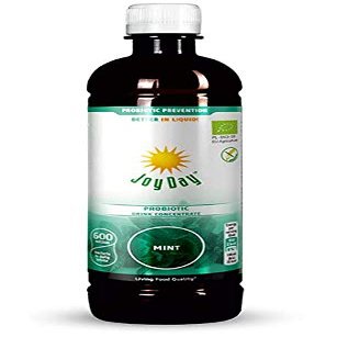Joy Day Probiotic Drink Concentrate Mint | 500 ml | 600 Million Live Probiotics Bacteria | 15 Health Strain with Lactobacillus Acidophilus, Lactobacillus Rhamnosus Advanced Multi Bacteria