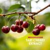 Montmorency Cherry 15,000mg  Standardised 5% Anthocyanins Tart Cherry Extract - 90 Vegan Capsules - Antioxidant Rich Supplement - by Alpha01 view 4
