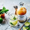 Gimber : The original natural concentrate made with the best organic ginger from Peru (700 ml) view 4