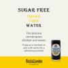 Fitch & Leedes Sugar-Free Indian Tonic  24 x 200ml Mixer for Botanical Gins view 2