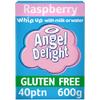 Angel Delight Raspberry Flavour Dessert Mix - 1x600g view 1
