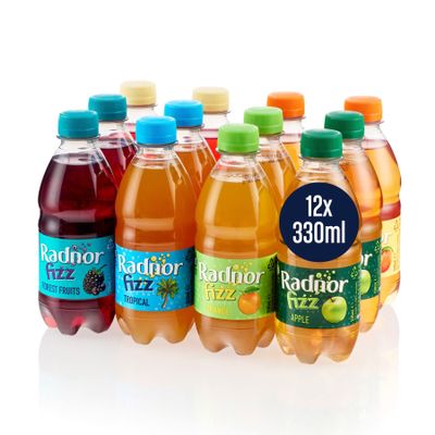 Radnor Fizz Mixed Case - Six Flavours Incl Tropical & Forest Fruits - 12x330ml