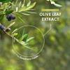 Organic Olive Leaf Extract Capsules 7500mg - 20% Oleuropein  120 Vegan Capsules - Resealable and Recyclable Pouch by Alpha01 view 4