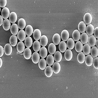 Alpha Nanotech Colloidal Polystyrene Beads 10 ml (Non-Functionalized; 100 nm - 100 um) (20 um, 10 mg/ml)
