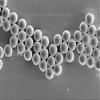 Alpha Nanotech Colloidal Polystyrene Beads 10 ml (Non-Functionalized; 100 nm - 100 um) (20 um, 10 mg/ml) view 1