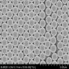 Alpha Nanotech Colloidal Polystyrene Beads 10 ml (Non-Functionalized; 100 nm - 100 um) (500 nm, 50 mg/ml) view 1