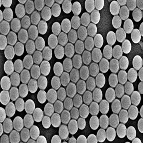 Alpha Nanotech Colloidal Polystyrene Beads 10 ml (Non-Functionalized; 100 nm - 100 um) (100 nm, 50 mg/ml)