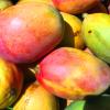 FruttaMax Mango Syrup | Less Sugar | 60% Real Fruit Concentrate | Suitable for soda Machine 500ml view 3