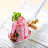TAS-TY (TASTY) Raspberry Ice Cream Topping Sauce 625g (x6) view 4