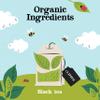 Clipper Organic Everyday Fairtrade Teabags | Black Tea Bags | Natural, Unbleached, Plant-Based Biodegradable & Sustainable Teabags | Eco Conscious, Non GM & Fair Trade Tea (80 Teabags) view 3