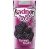Radnor Fruits Forest Fruits Cartons - 24x200ml view 1
