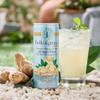Folkingtons Ginger Beer Cans - 12x250ml view 4