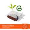 CAFF TORALDO - ESE System Coffee PODS- Recyclable PODS MISCELA CREMOSA - Box 150 PODS ESE44 7g view 3