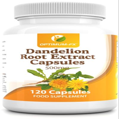 Dandelion Root Extract Capsules 500 mg 120 Capsules