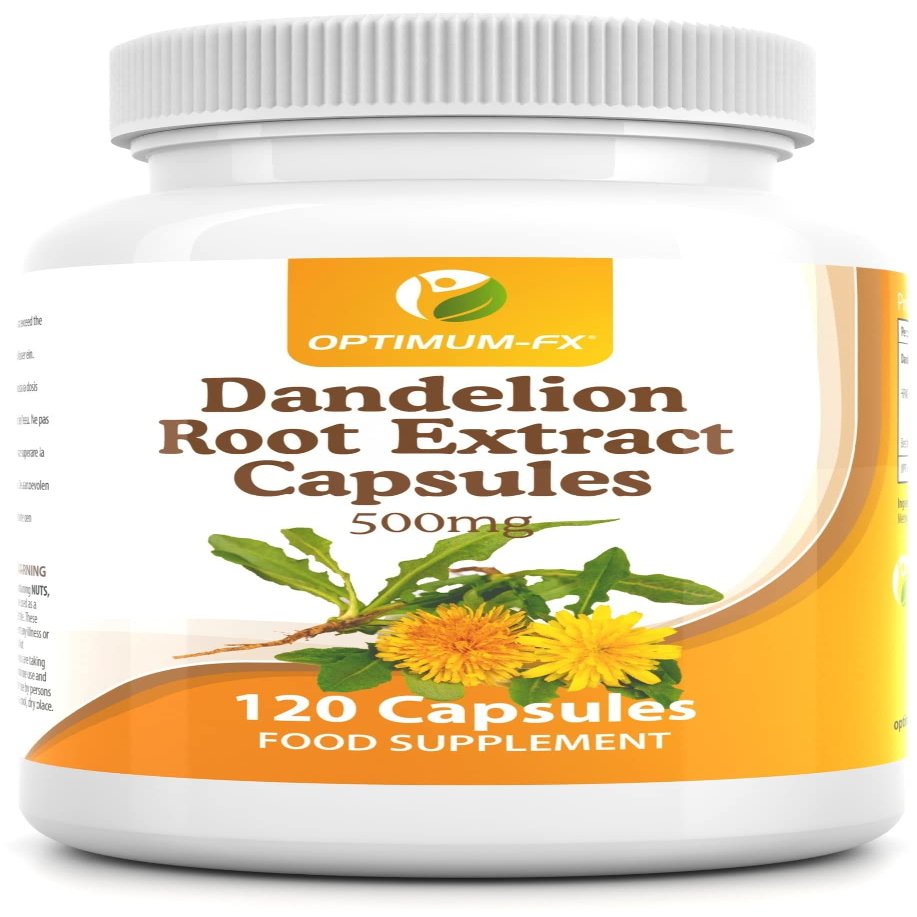 Dandelion Root Extract Capsules 500 mg 120 Capsules