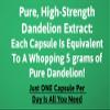 Dandelion Root Extract Capsules 500 mg 120 Capsules view 2