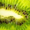 FruttaMax Kiwi Syrup | Less Sugar | 60% Real Fruit Concentrate | Suitable for soda Machine 500ml view 3