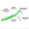 Orthomechanic Interdental Brush Angle Cleaners - Jumbo Pack (50 Brushes) (Tight) - Remove Plaque - Toothpick view 2