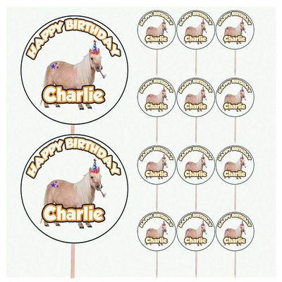 AK Giftshop Personalised Horse Riding Birthday Food & Cupcake Toppers Picks Flags Party Decorations - (pack of 14)