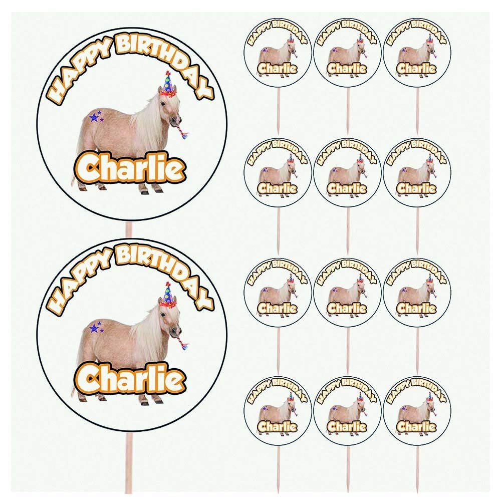 AK Giftshop Personalised Horse Riding Birthday Food & Cupcake Toppers Picks Flags Party Decorations - (pack of 14)