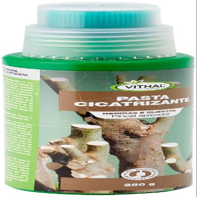 Master Healing Paste 250g
