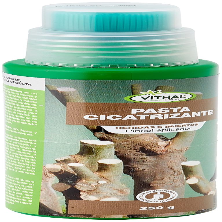 Master Healing Paste 250g