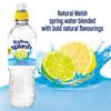 Radnor Splash Lemon and Lime Flavoured Water 12x500ml view 2