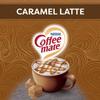 Nestle Coffee-Mate Coffee Creamer Caramel Latte 425.2g (Pack of 2) view 2