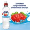 Radnor Splash Strawberry Flavoured Water 12x500ml view 2