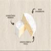 Brie cheese, typical recipe, soft cheese, Salumi Pasini, 1 Kg view 2