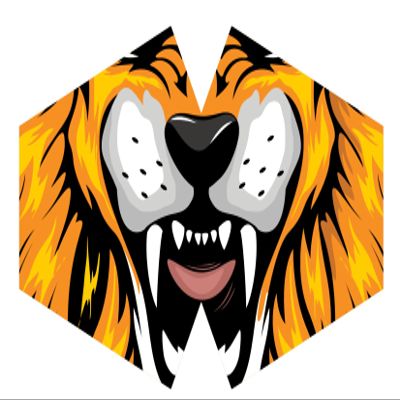 Ancient Wisdom Reusable Fashion Face Mask - Tiger (Adult)