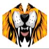 Ancient Wisdom Reusable Fashion Face Mask - Tiger (Adult) view 1