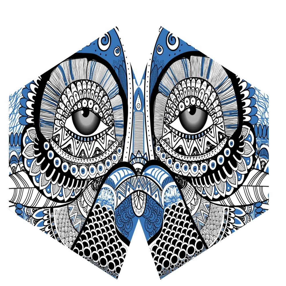Ancient Wisdom Reusable Fashion Face Mask - Mystical Owl (Adult)