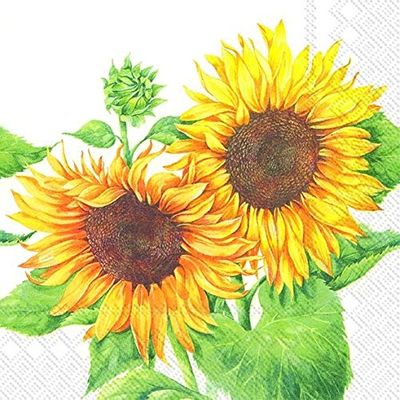 20 Napkins Two Sunflowers in Full Bloom Flowers Autumn Table Decoration 33 x 33 cm