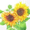 20 Napkins Two Sunflowers in Full Bloom Flowers Autumn Table Decoration 33 x 33 cm view 1