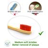 Bamboo Toothbrush with Medium Bristles, Eco-Friendly, Organic Biodegradable Handle, 6 Colored BPA-Free Toothbrushes view 3