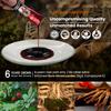 BTGIN Saponin Hanppuri Everyday Korean Red Panax Ginseng Extract Stick - 3000mg High Potency Liquid Supplement - Caffeine Free Energy & Immune Support - 30 Packets view 2