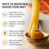 MANUKA DOCTOR | MGO 1000 Manuka Honey Monofloral | 250g | 100% Pure New Zealand Honey | Certified RAW | Non-GMO | Independently Lab Tested | Hive to Home Traceable view 4