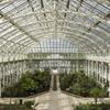 Virgin Experience Days Visit to Kew Gardens with Cream Tea for Two - London - Uncover 250 Years of History at One of the World's Most Famous Gardens view 4