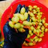 Candia Crop Greek Green Olives Stuffed with Piri Piri, Pack of 5 x 200g (Total: 1 kg) view 3