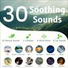 Easysleep Sound Machine White Noise Machine for Baby Adults Kids Sleeping with Night Light 25 Soothing Sounds 32 Volume 5 Timer Memory Function for Home Office Travel view 2