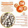 UKHealthHouse Selenium 220mcg ACE Tablets Vitamin A + C + E Immune Health Skin Hair Nails (360) view 4