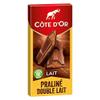 Cte D'Or - Praline Fudge Milk 200G - Lot of 4 - Price Per Lot - Fast Delivery view 1