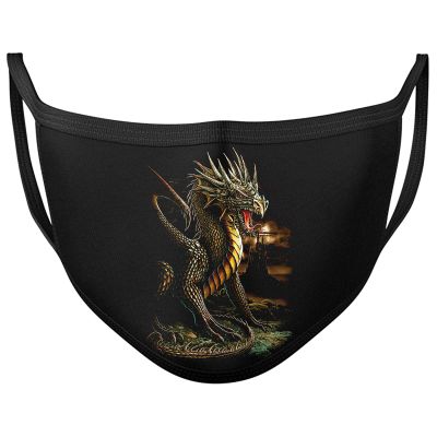 Darkwear Skull Dragon Horse Spiral Punk Tribal Roses Blood rose Face Mask Covering Reusable Washable Fashion Mask (DRAGON)