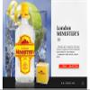 Minster's London Gin 70cl view 2