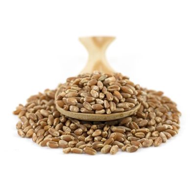 Sussex Wholefoods Organic Wheat Grain 25kg: Premium Quality, Versatile Whole Grain