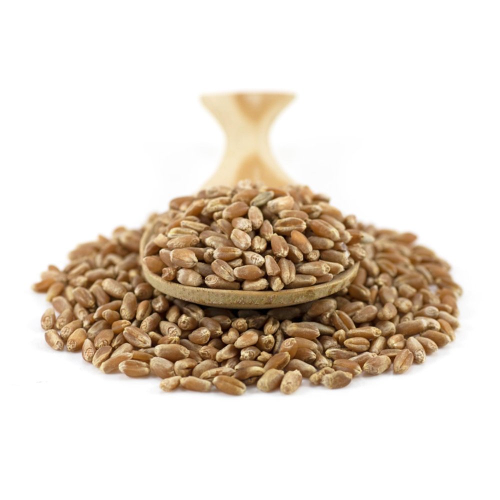 Sussex Wholefoods Organic Wheat Grain 25kg: Premium Quality, Versatile Whole Grain